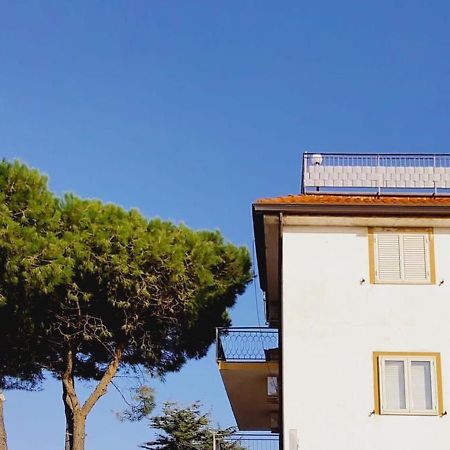 Domus Cedri Apartment 산타 마리아 델 세드로 외부 사진