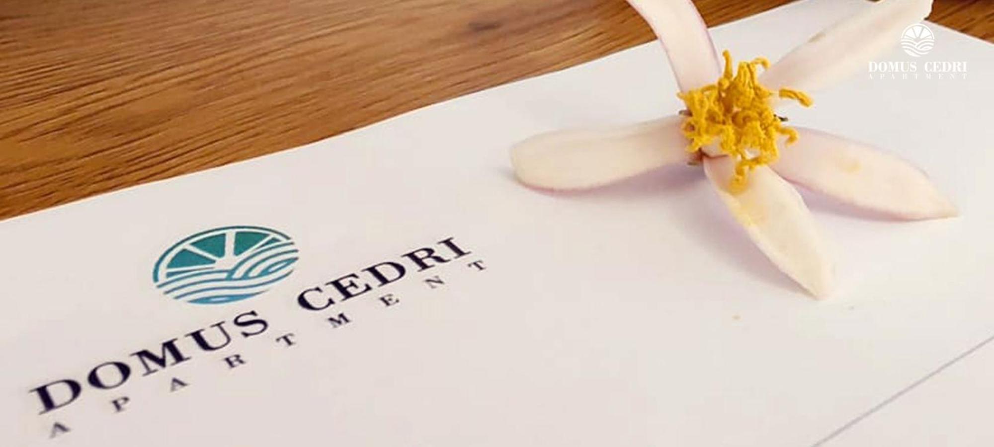 Domus Cedri Apartment 산타 마리아 델 세드로 외부 사진